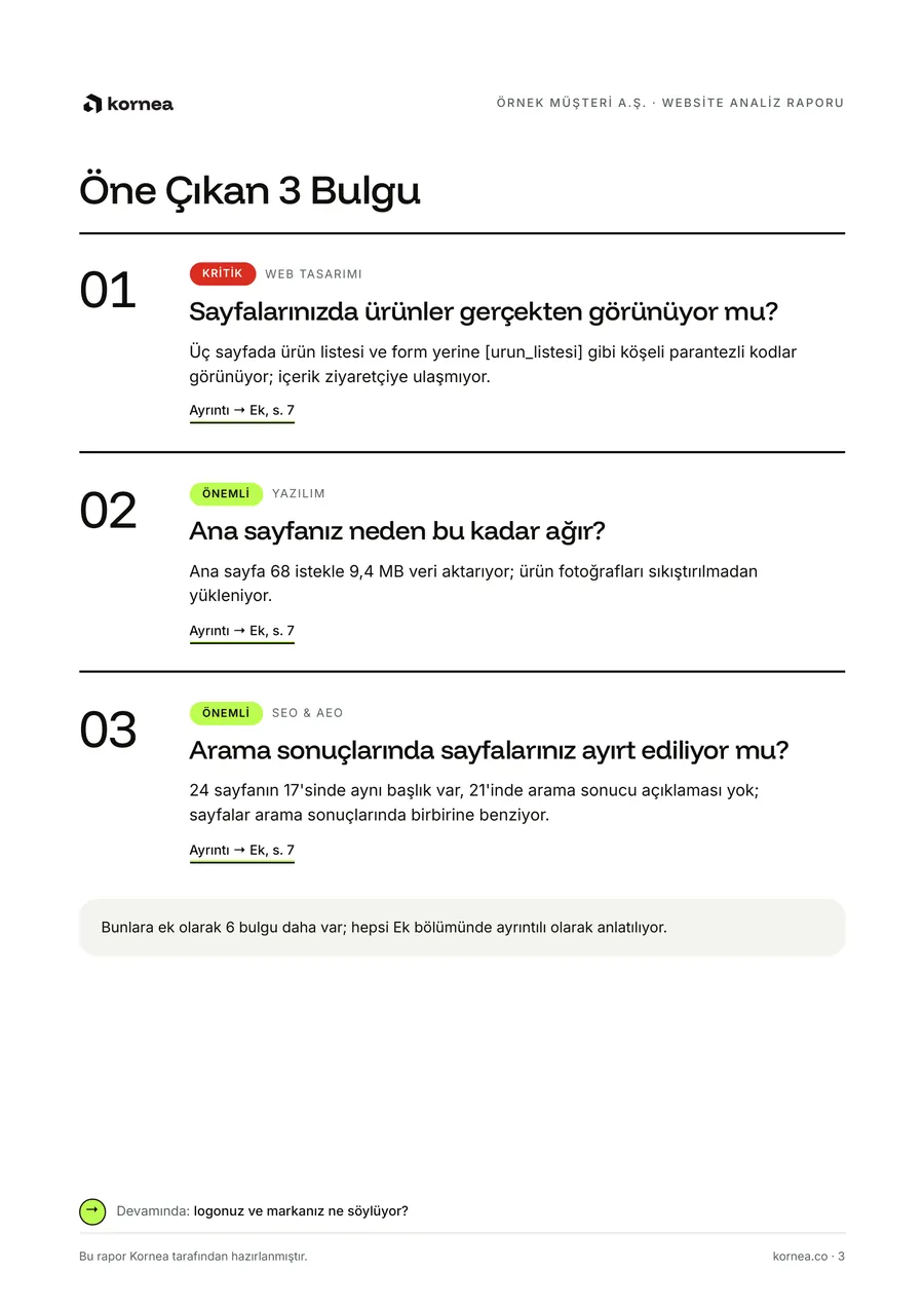 Kurgusal örnek rapor, öne çıkan bulgular sayfası