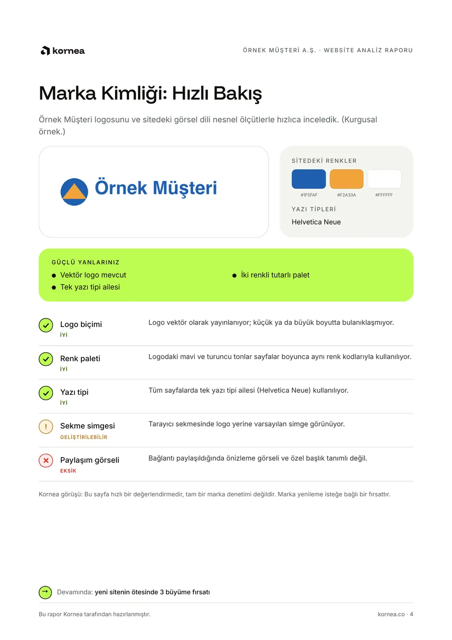 Kurgusal örnek rapor, marka kimliği hızlı bakış sayfası