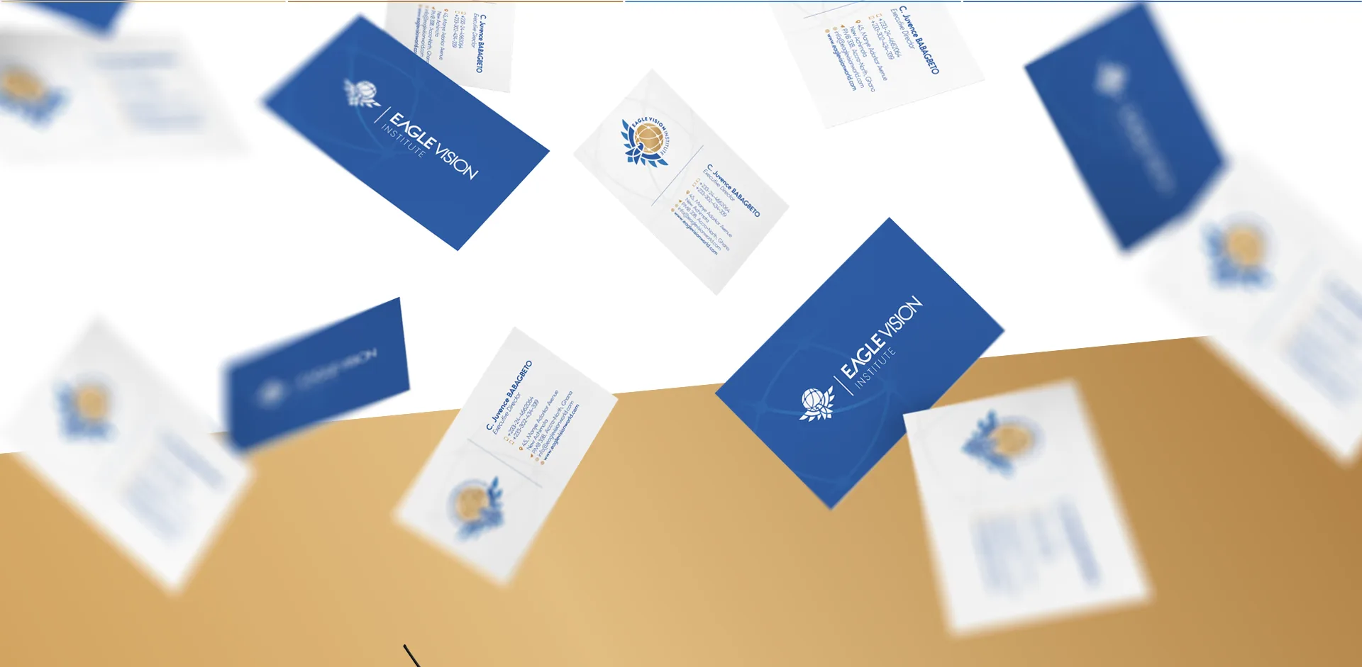 Eagle Vision Institute brand identity, image 4