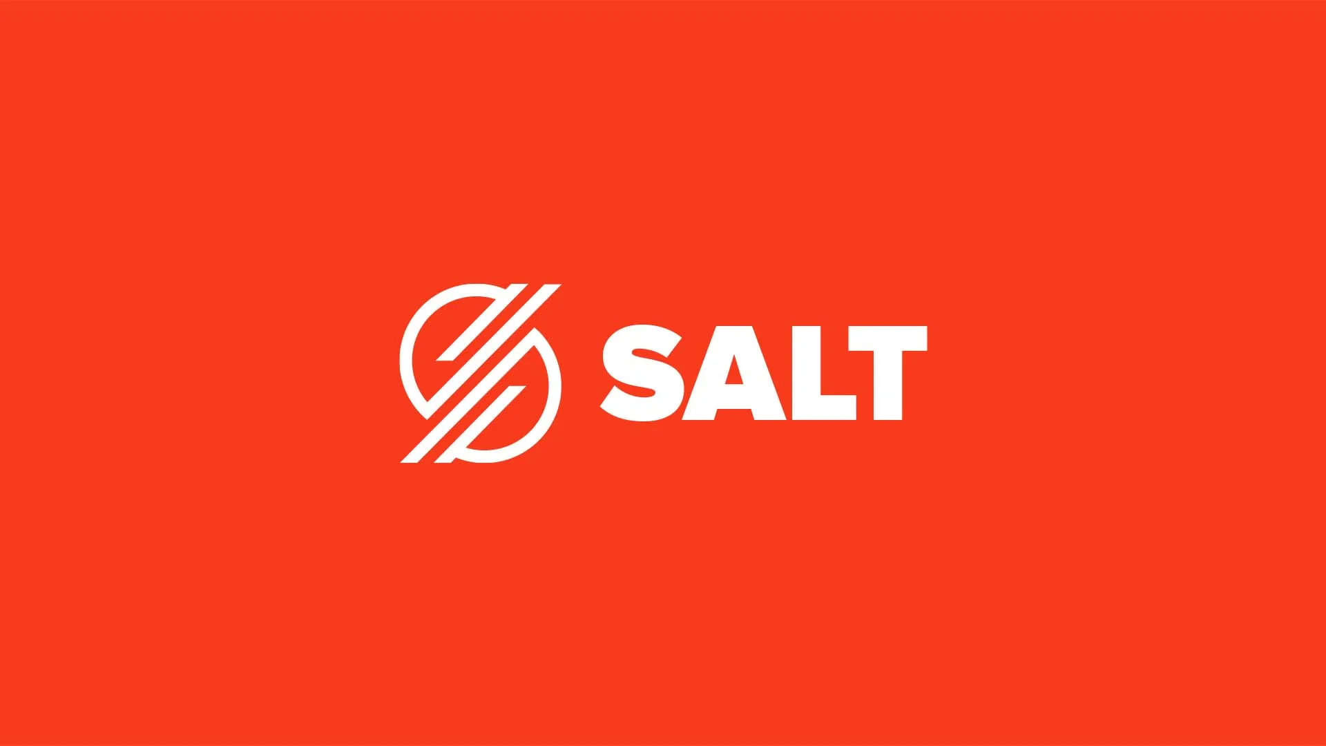 Salt Security brand identity, image 2