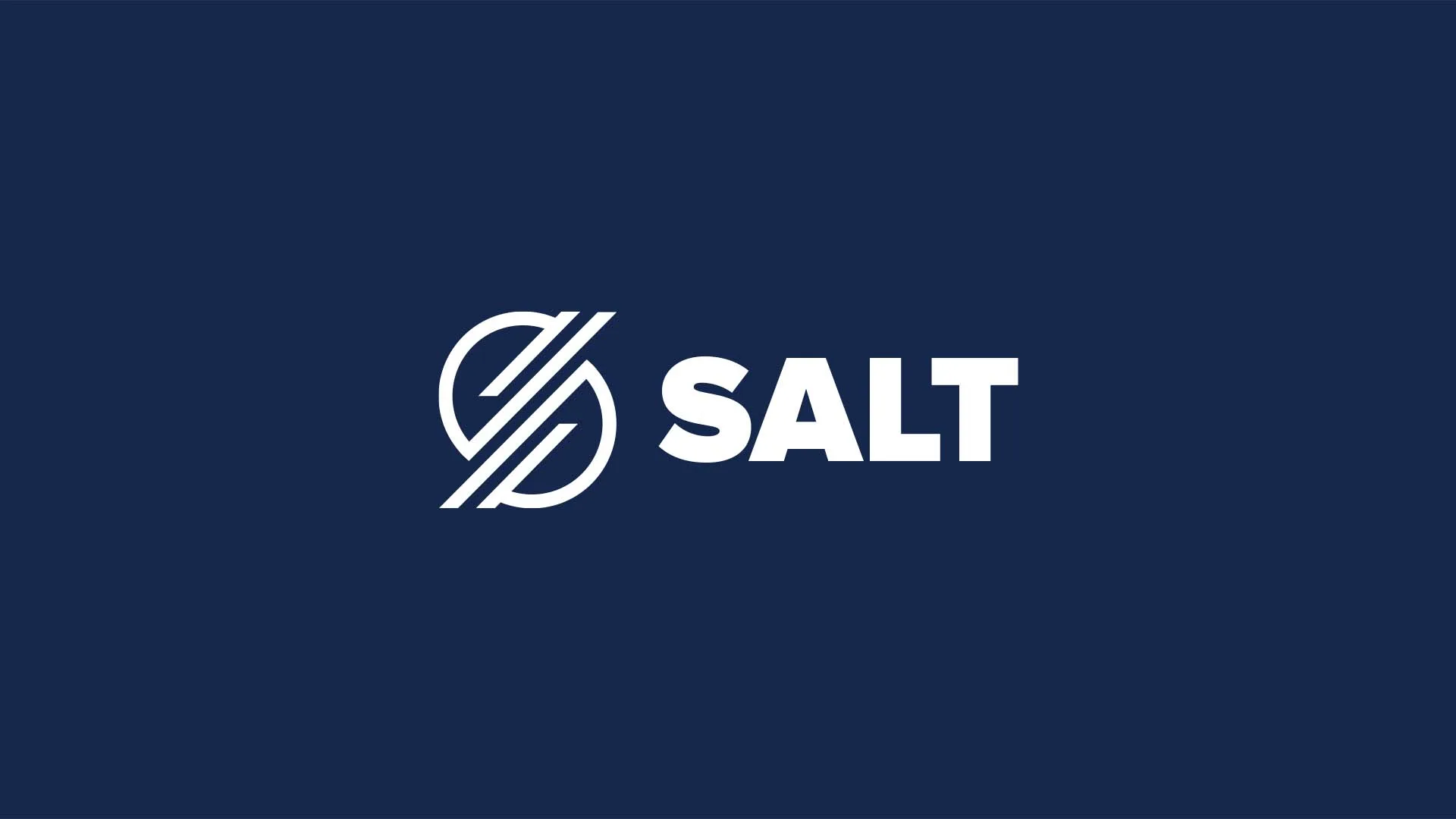 Salt Security brand identity, image 3